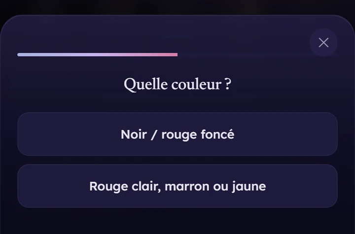 Le vérificateur de tahara en pleine conversation : « Quelle couleur ? », avec deux réponses, « Noir ou rouge foncé » et « Rouge clair, marron ou jaune ».